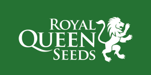 Royal Queen Seeds